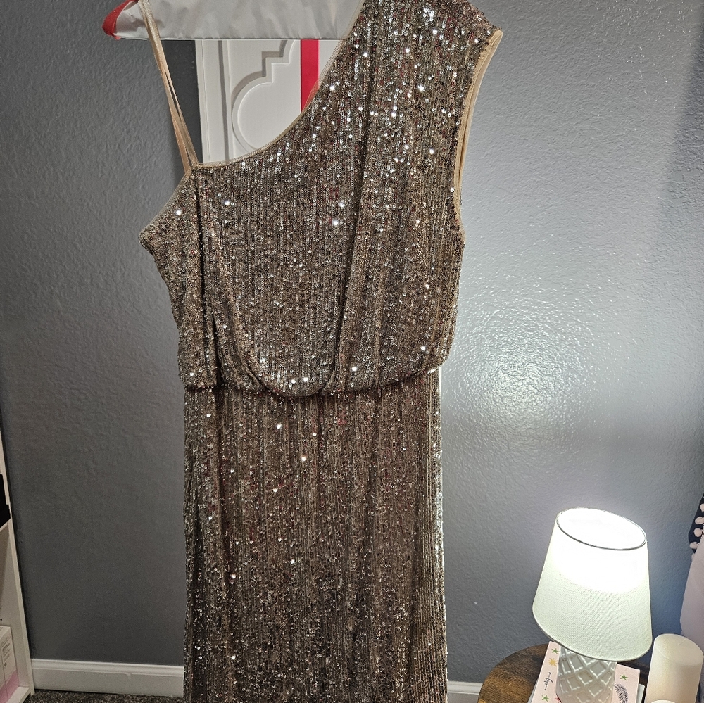 $250MSRP Adrianna Papell Dress